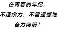1681434119109103.png image.png